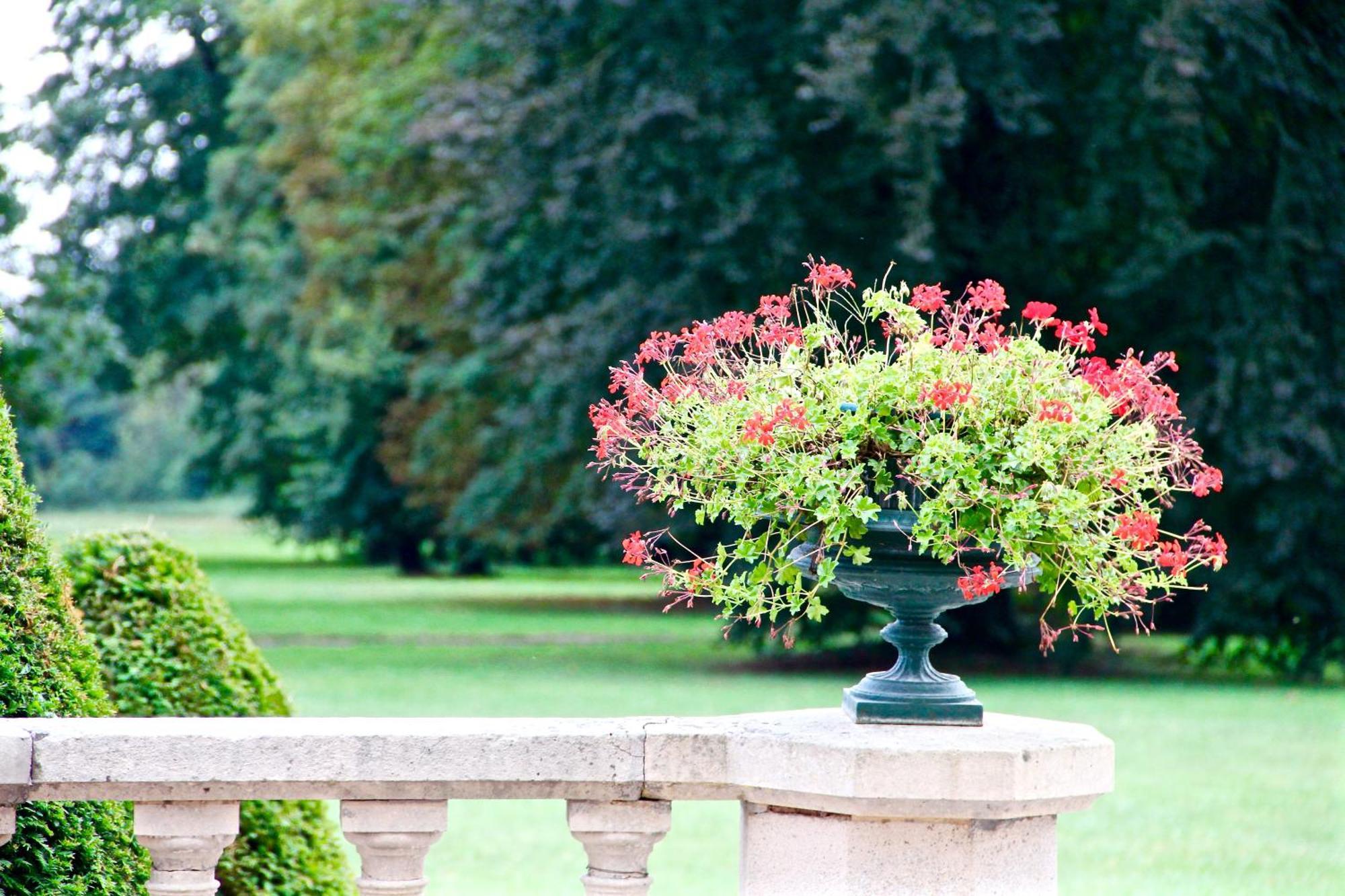 Chateau Des Monthairons Hotel Restaurant Gastromaison Spa Privatif Les Monthairons Luaran gambar