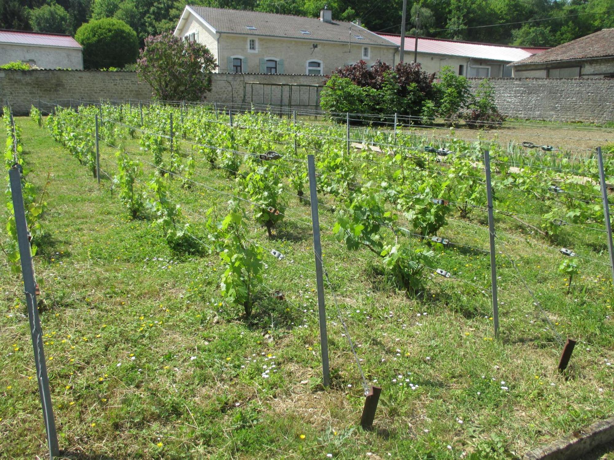 Chateau Des Monthairons Hotel Restaurant Gastromaison Spa Privatif Les Monthairons Luaran gambar