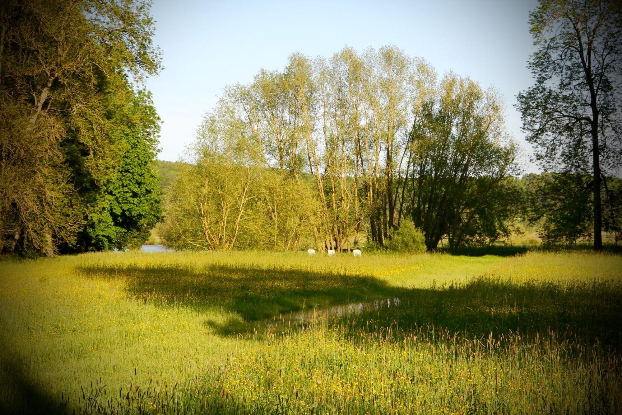 Chateau Des Monthairons Hotel Restaurant Gastromaison Spa Privatif Les Monthairons Luaran gambar